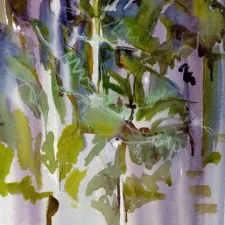 Las Pozas, Mist Dream 2008