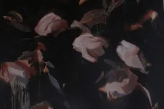 Possession