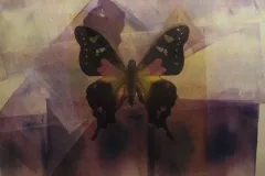 My Grandmother's House-Moth Series