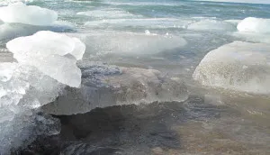 ice-on-toronto-island