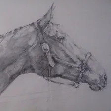c-somerville_-paddy-pencil-on-paper-img_0353