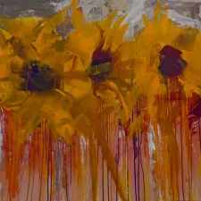 isunflower-glory-2019-mg_1487-copy